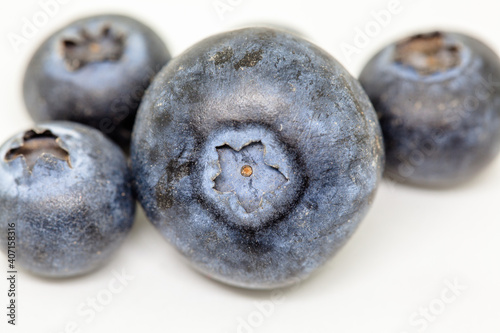 Blueberry fruits isolated in white