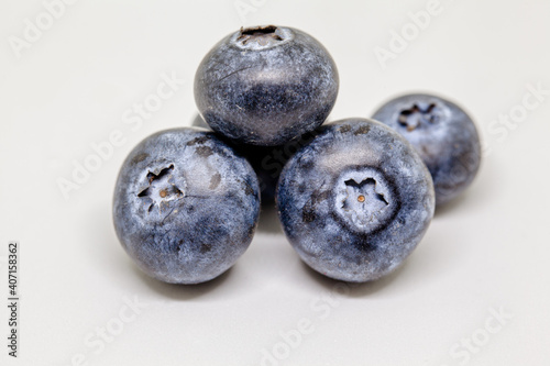 Blueberry fruits isolated in white