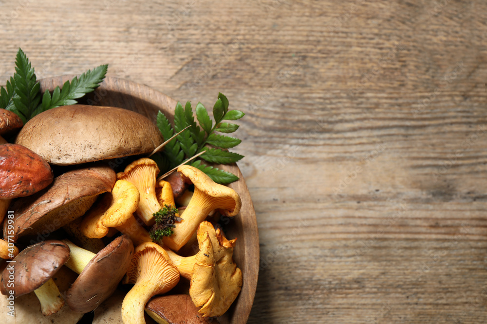 Bowl with different mushrooms on wooden table, top view. Space for text Bowl with different mushrooms on wooden table, top view. Space for text