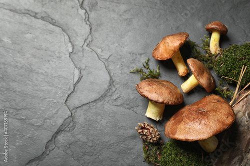 Flat lay composition with boletus mushrooms on grey background, space for text