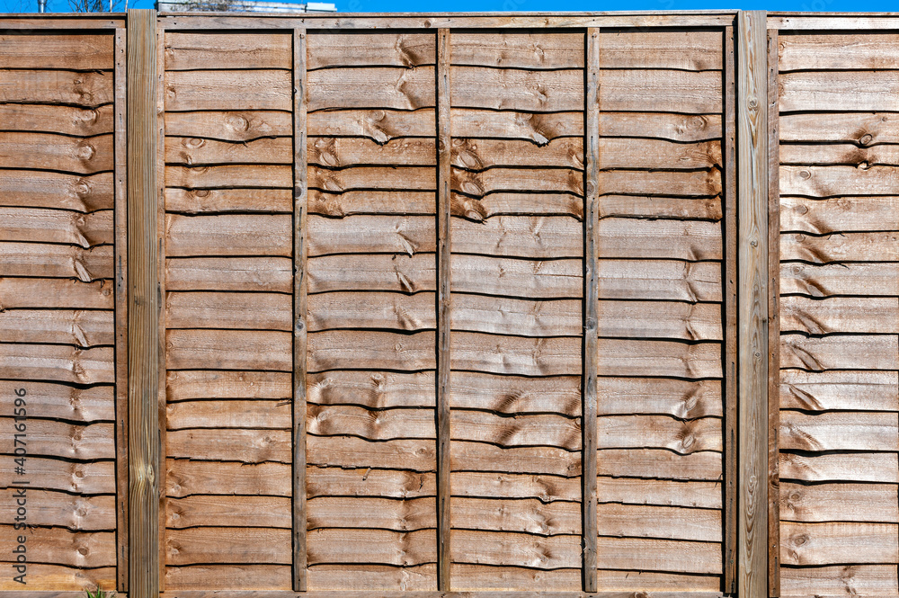 New wooden residential back yard garden fence which is usually made of pine or larch wood, stock photo image New wooden residential back yard garden fence which is usually made of pine or larch wood, stock photo image