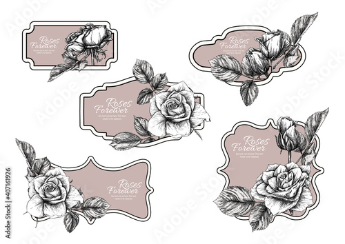 Set of labels, stickers for food products or cosmetics in engraving, vintage, old, retro shabby chic style.. Stock vector illustration.