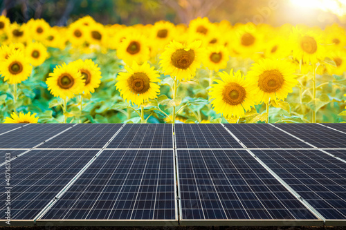 Photovoltaic modules solar power plant with view Sunflowers field blooming background Summer sunset background  Alternative energy concept.