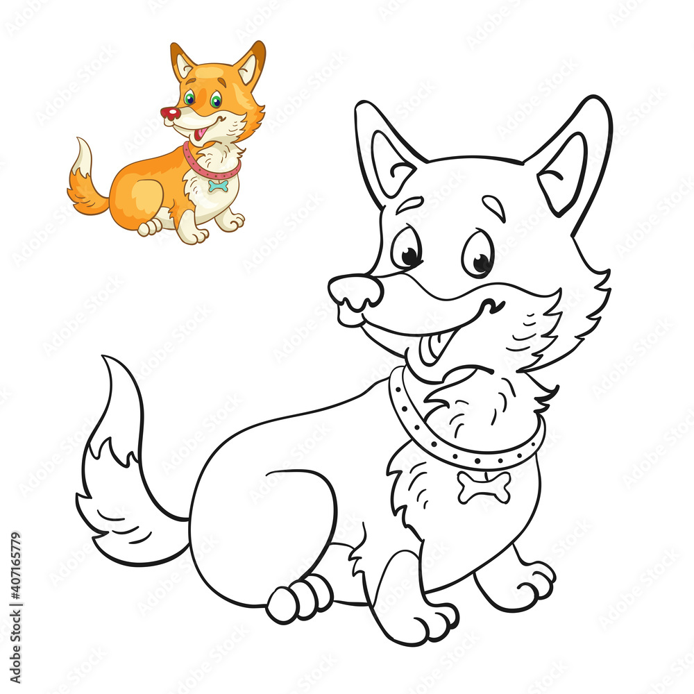 A funny dog breed corgi. Black and white picture for coloring book with a colorful example. In cartoon style. Isolated on white background. Vector illustration.