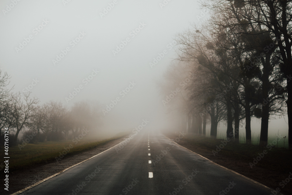 Landscape with fog on the road with trees on the sidelines.