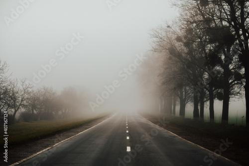 Landscape with fog on the road with trees on the sidelines.