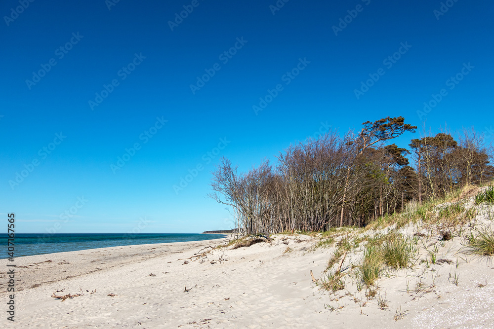 Landschaft am Weststrand an der Ostseeküste auf dem Fischland-Darß