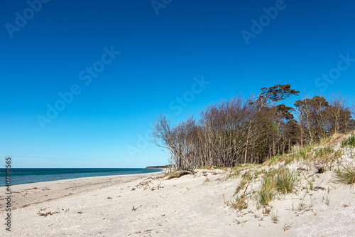 Fototapeta Naklejka Na Ścianę i Meble -  Landschaft am Weststrand an der Ostseeküste auf dem Fischland-Darß