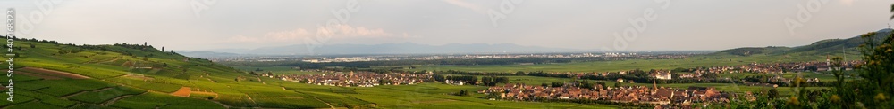 Le mont de Sigolsheim, à Kaysersberg, au cœur du vignoble alsacien, Alsace, France