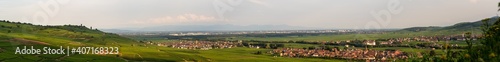 Le mont de Sigolsheim, à Kaysersberg, au cœur du vignoble alsacien, Alsace, France photo