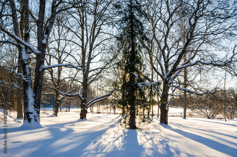 View of Mustion Linna park in winter, Finland