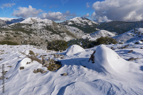 Robledal port and mount Abanto National Park of the Sierra de las Nieves in the municipality of Igualeja témino in Ronda, Malaga province. Spain