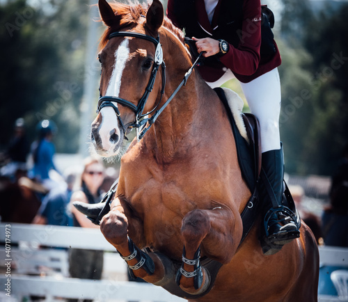 brown horse jumps during FEI contest © Adi Neuman