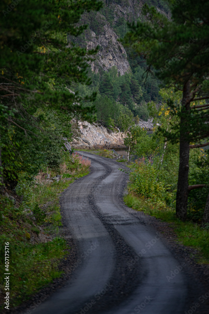 Gravel road through trees at a fjord in Norway