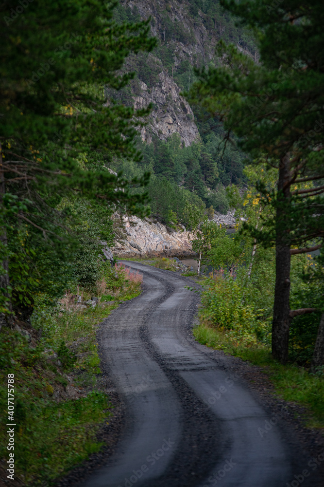 Gravel road through trees at a fjord in Norway