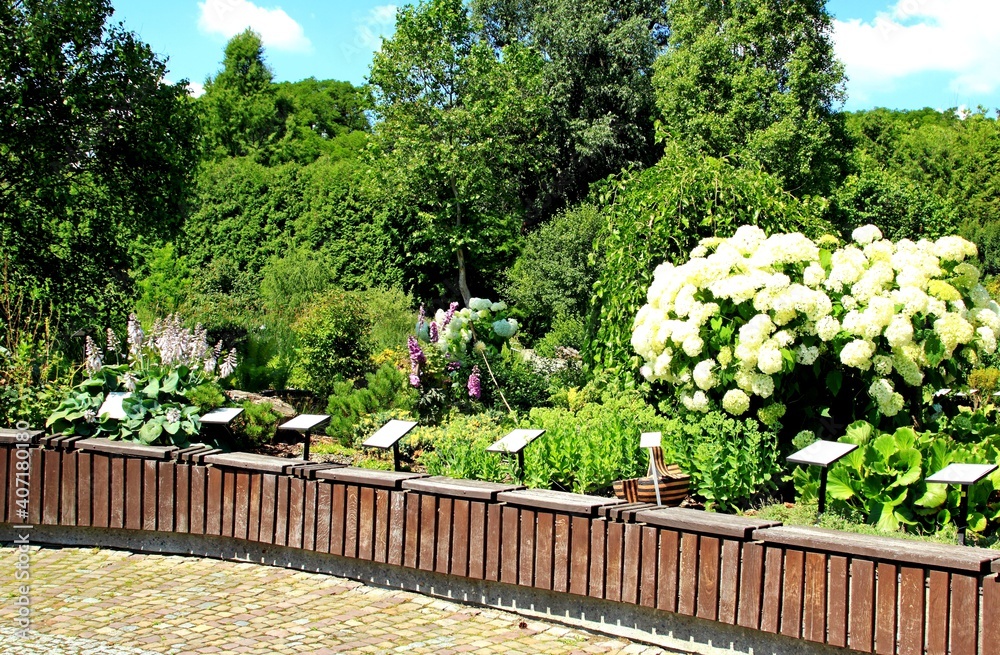 Arboretum Bolestraszyce Arboretum Bolestraszyce