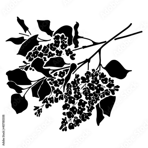 black and white image of a lilac flower silhouette