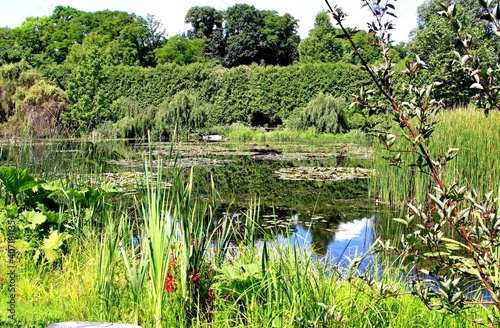 Arboretum Bolestraszyce