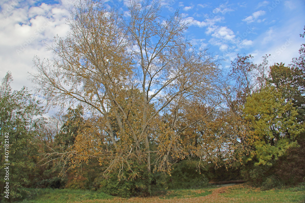 Herbststimmung