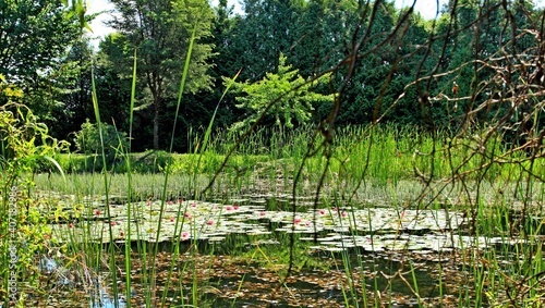 Arboretum Bolestraszyce photo