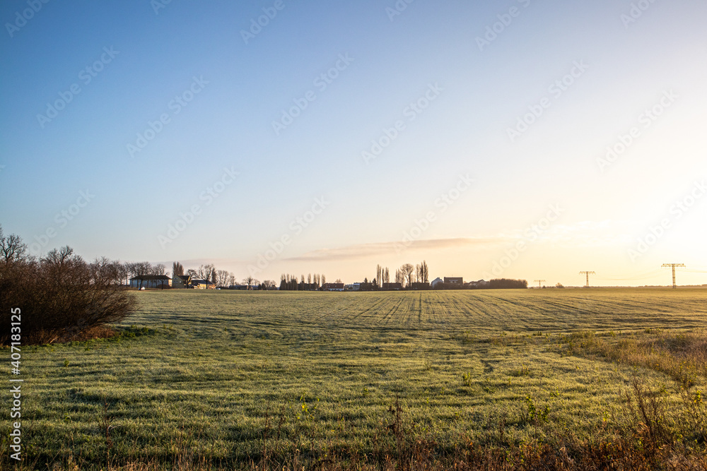 Fototapeta premium Feld