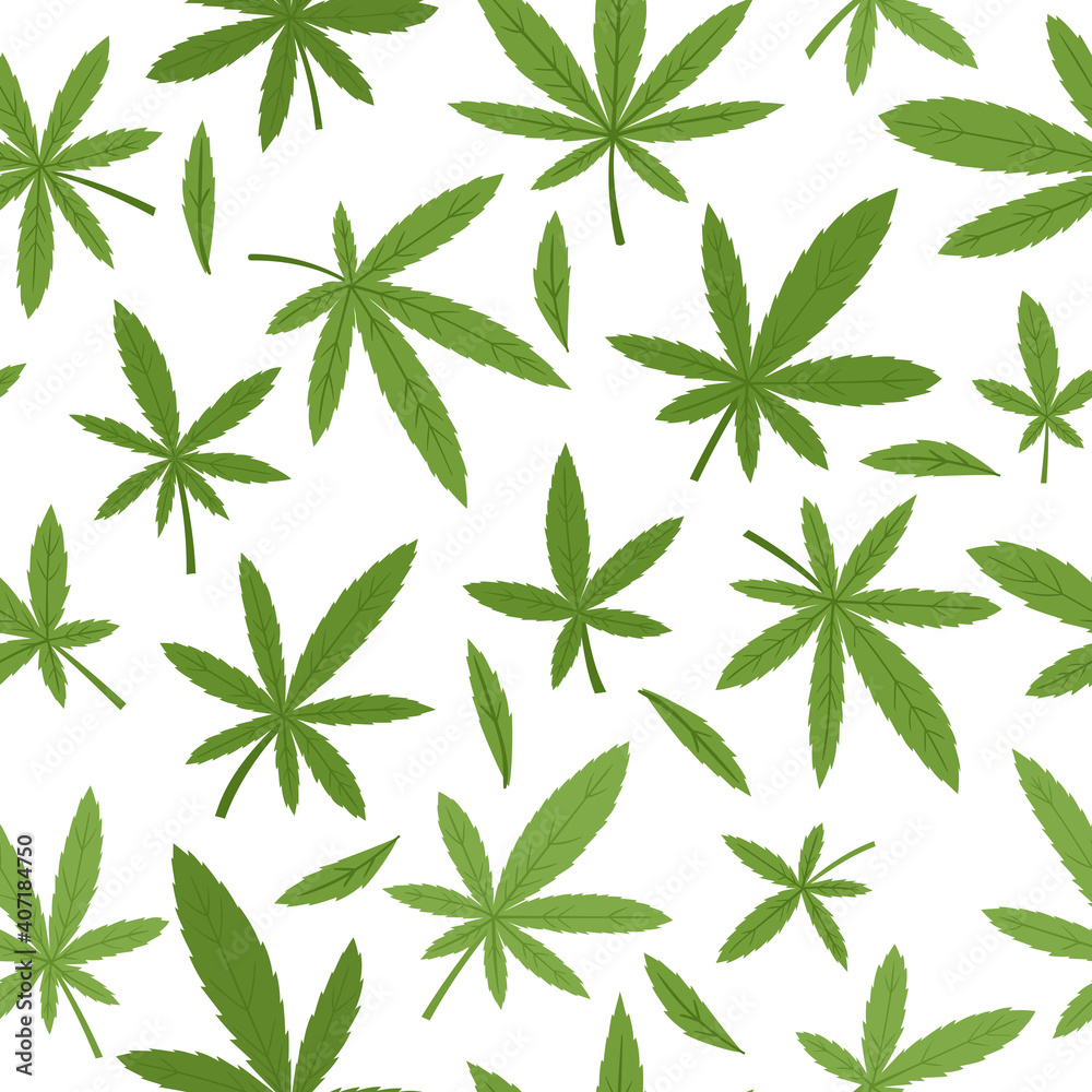 Vector seamless pattern with cannabis leaves on white background