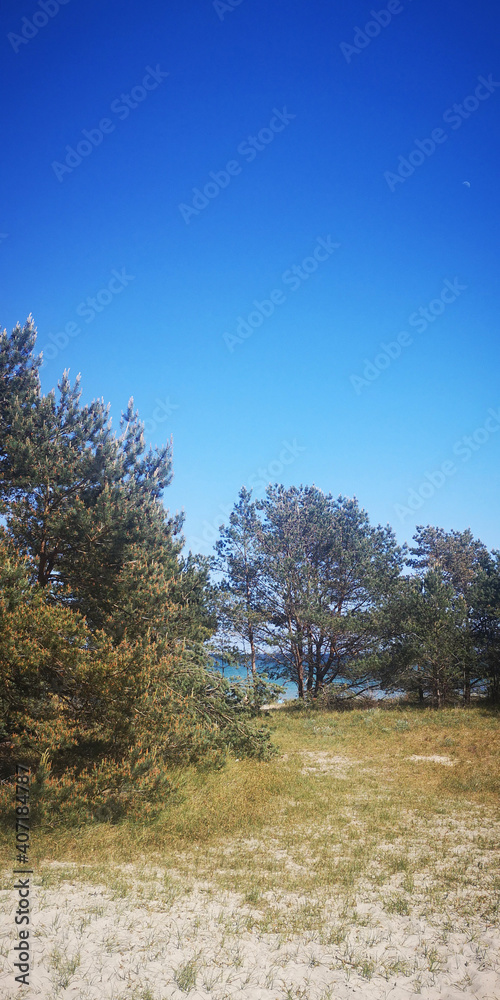 Obraz premium Der Strand in Prora