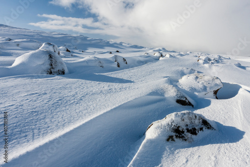 winter landscape © Mateusz Liberra