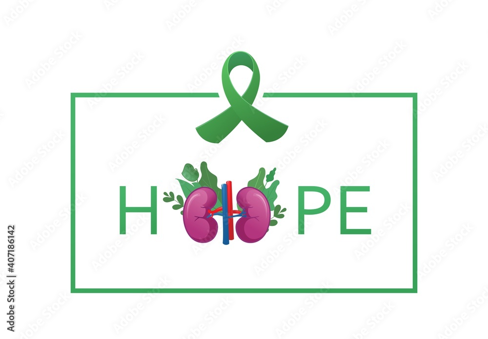 banner kidney cancer colored ribbon banner kidney cancer colored ribbon