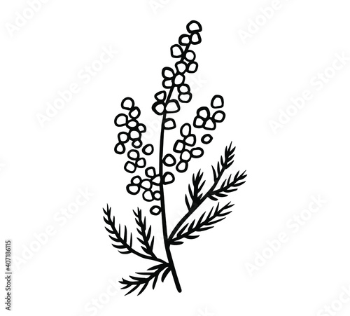 ペンで手描きしたミモザの花と葉のイラスト。一輪の花。