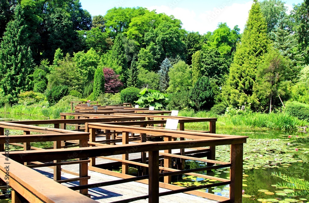 Arboretum Bolestraszyce