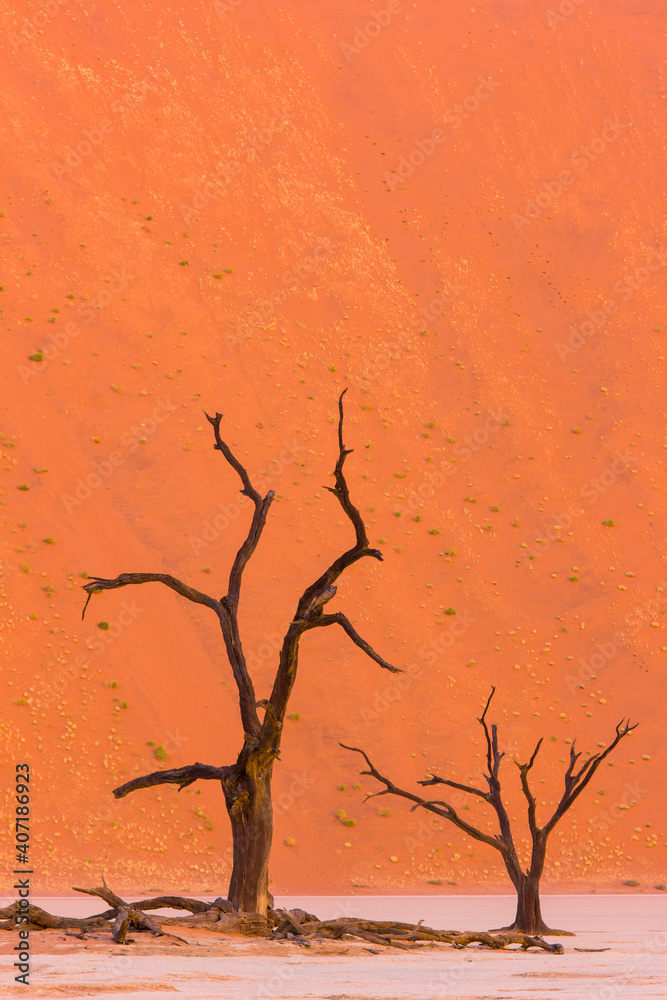Deadvlei, Sossus Vlei, Desierto Namib, Namibia, Africa Deadvlei, Sossus Vlei, Desierto Namib, Namibia, Africa
