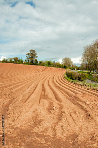 Ploughed fields in the summertime