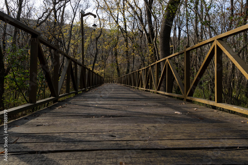 wood bridge and autumn fallen leaves
