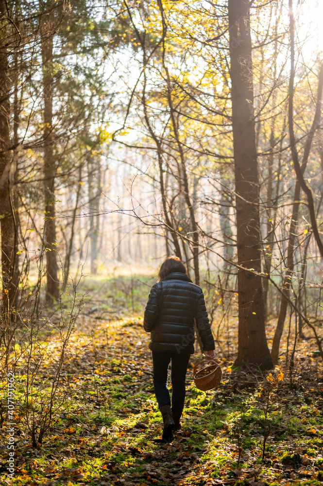 Woman collecting mushrooms at forest