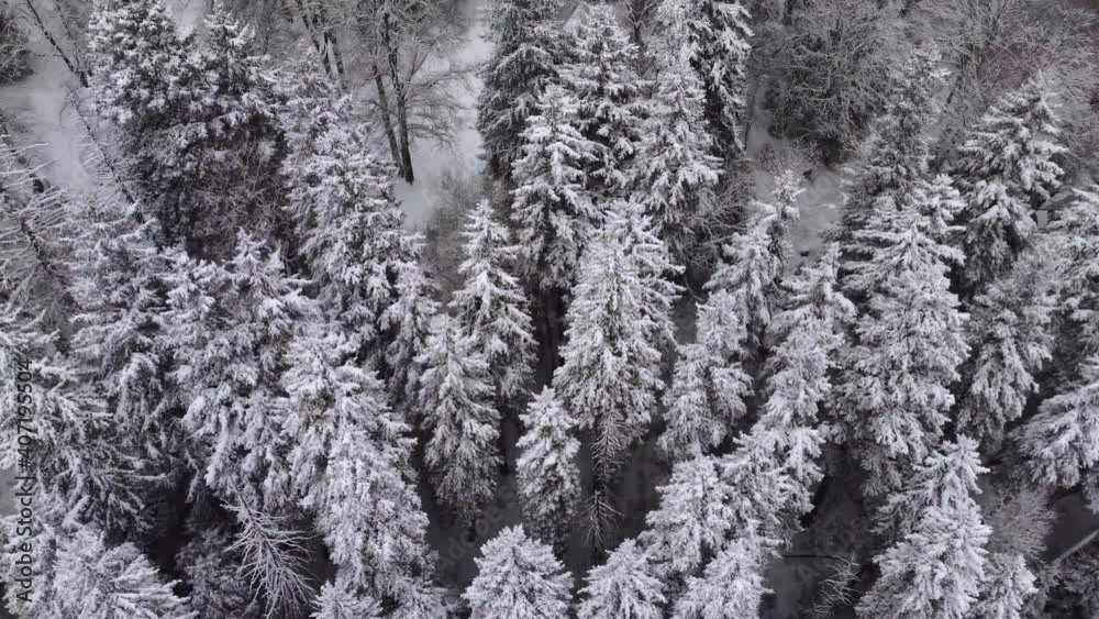 Aerial Forest view - Winter Landscape Aerial view Aerial Forest view - Winter Landscape Aerial view