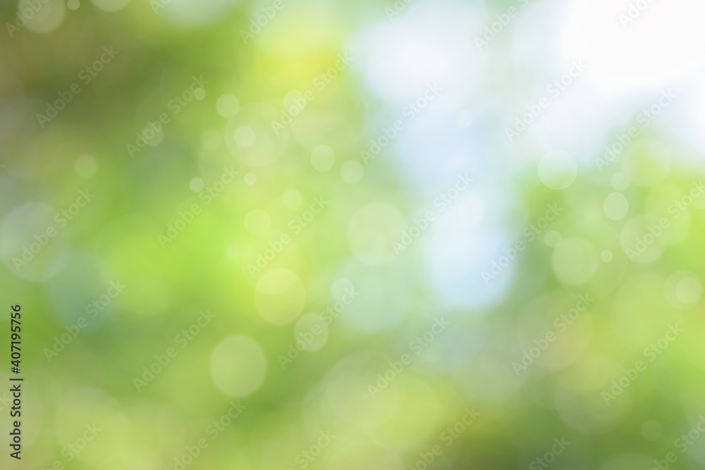 Abstract green bokeh nature background. circle bokeh with light  blur background