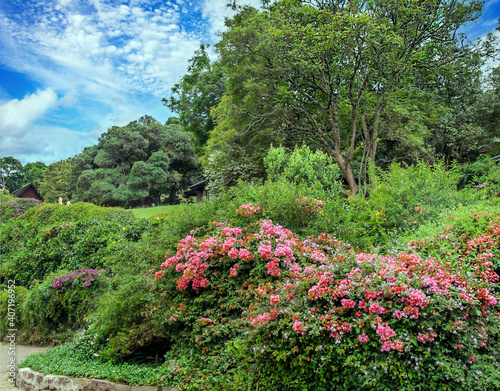 Formal garden