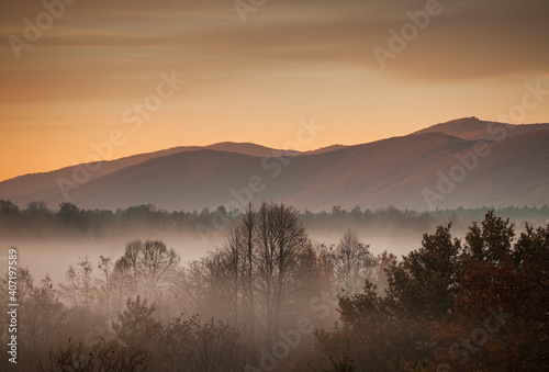 Misty morning