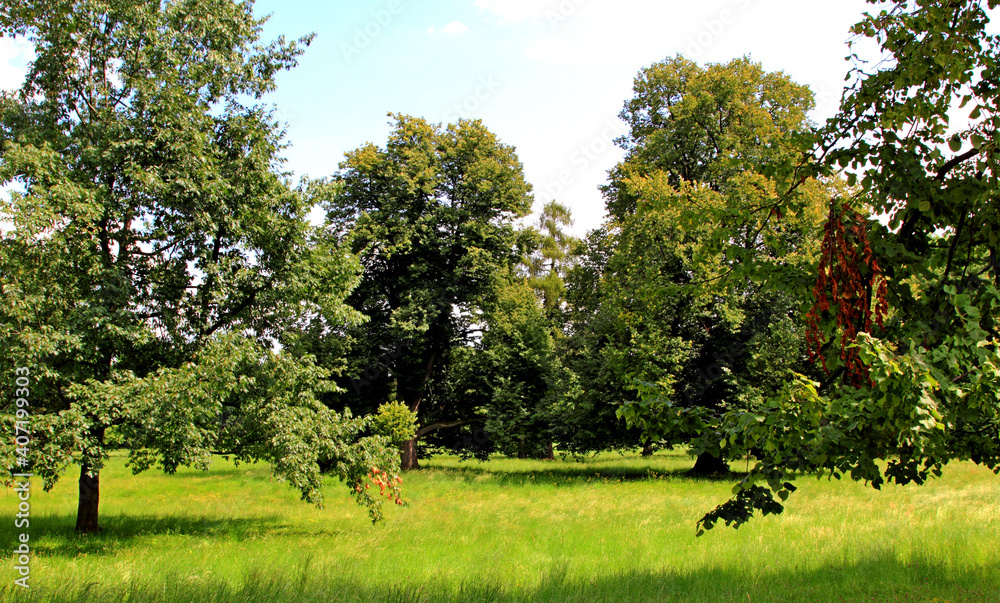 Kańczuga , Sietesz , Markowa , Kraczkowa , Łańcut - Storczykarnia , Łańcut park Kańczuga , Sietesz , Markowa , Kraczkowa , Łańcut - Storczykarnia , Łańcut park