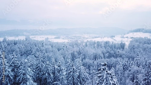 Aerial shot over a wonderful snowy forest in Uznach, Switzerland photo