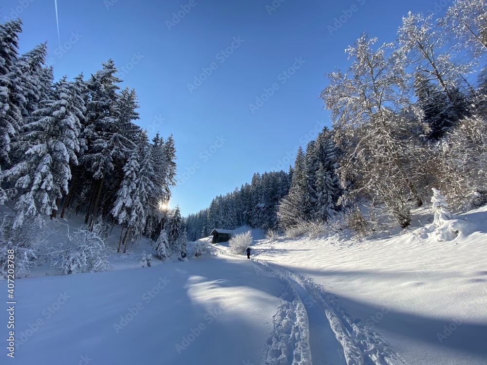Fototapeta premium Schneeschuhe Wandern am Jakobsweg bei Terfens Vomp Vomperbach Umlberg Maria Larch Eggen in der Nähe von Schwaz Innsbruck Tirol Grenze zu Bayern im Karwendel am späten Nachmittag im Winter