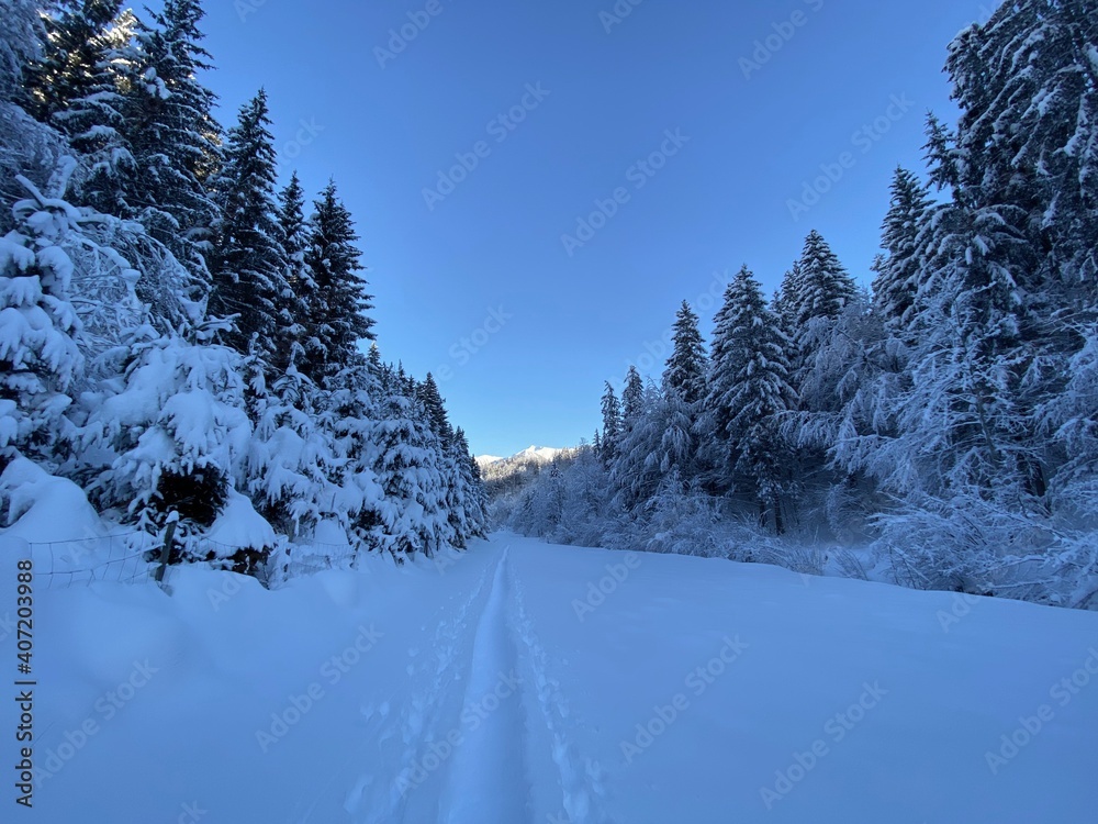 Schneeschuhe Wandern am Jakobsweg bei Terfens Vomp Vomperbach Umlberg Maria Larch Eggen in der Nähe von Schwaz Innsbruck Tirol Grenze zu Bayern im Karwendel am späten Nachmittag im Winter