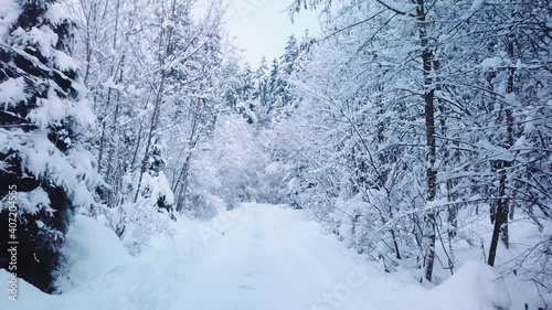 Dolly shot through a wonderful snowy path in a winter wonderland woods.