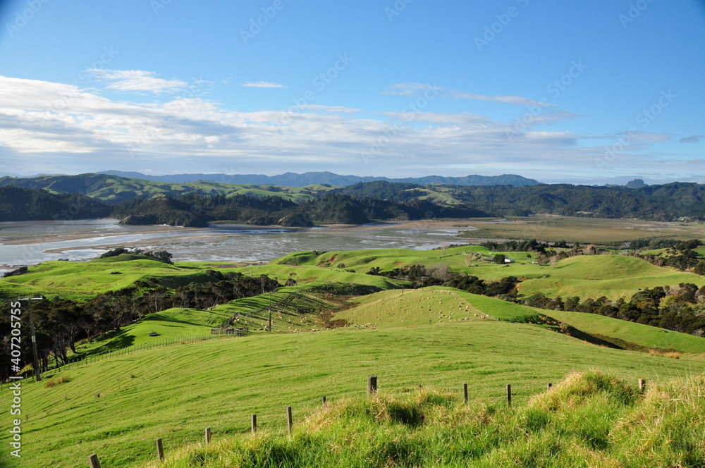 tpsische Landschaft in Neuseeland
