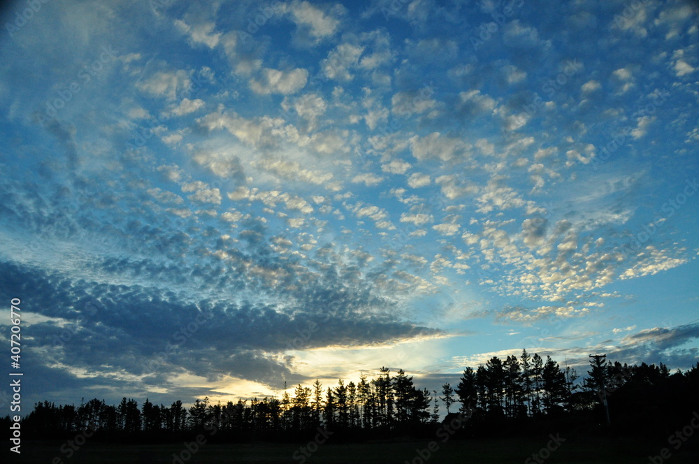 Sonnenuntergang hinter einer Baumzeile mit Schäfchenwolken
