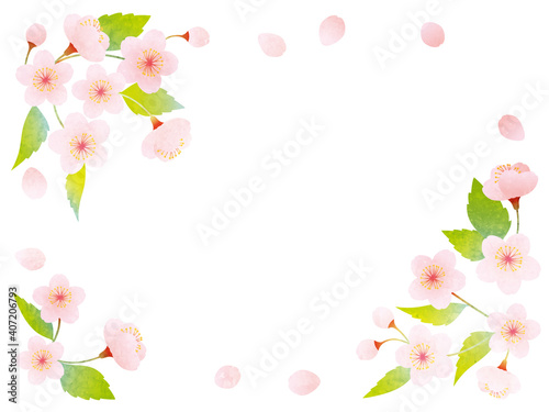 水彩風 葉桜の装飾イラスト