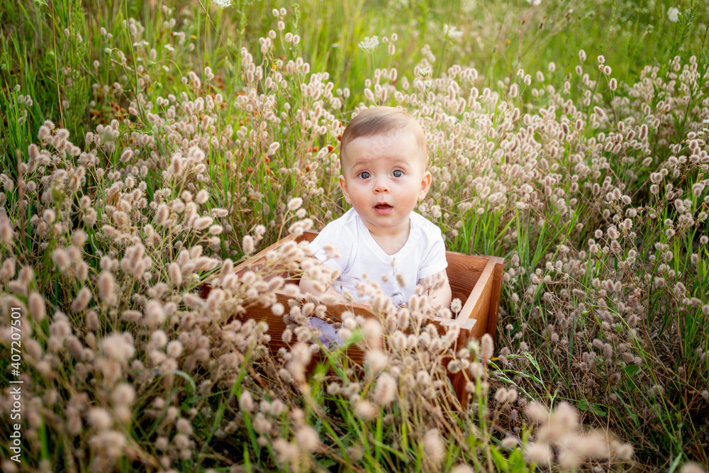 baby girl sitting among the field grass in a white dress, healthy walk in the fresh air baby girl sitting among the field grass in a white dress, healthy walk in the fresh air