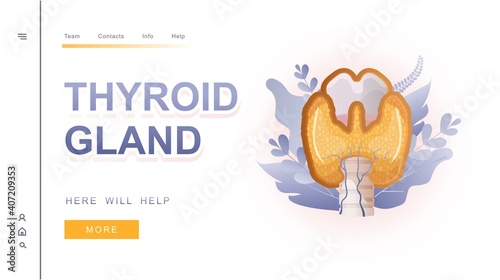 thyroid gland banner concept vector