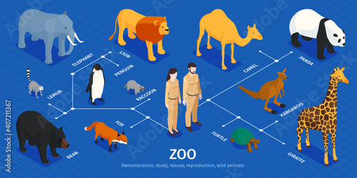 Isometric Zoo Animals Infographics